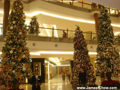 Nice nice Christmas Trees!