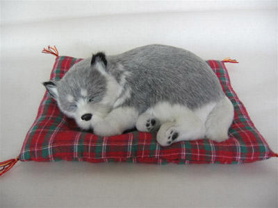 I want to sleep like this! I want to sleep like this!