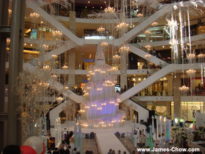 Christmas Tree in Pavilion!