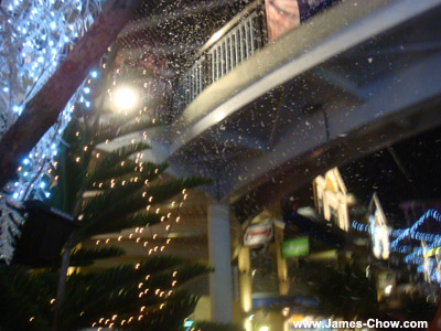 Snowing at the Curve!