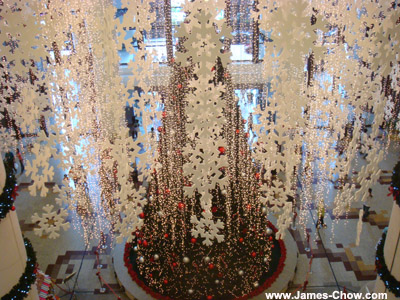 Christmas Tree in Times Square!