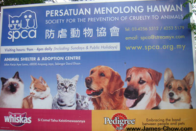 SPCA