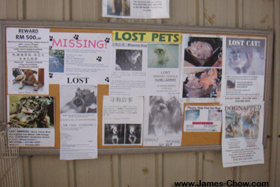 Lost Pets