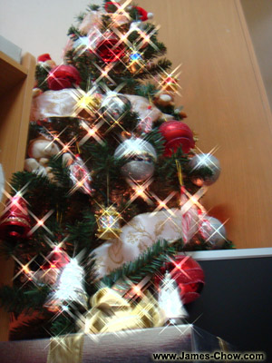 My Xmas tree still standing! My Xmas tree still standing!