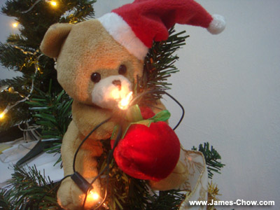 Teddy on Top of my Christmas Tree! Teddy on Top of my Christmas Tree!