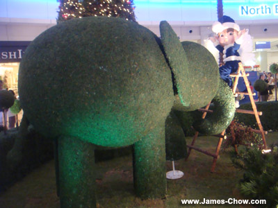 Adorable elves trimming an elephant! Adorable elves trimming an elephant!