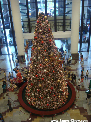Same Christmas tree in Times Square Same Christmas tree in Times Square
