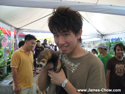Cute little ferret! Cute little ferret!