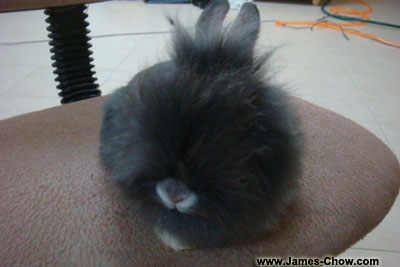 Spiky style! Spiky style!