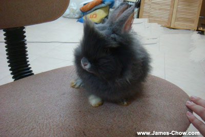 Cool 'Little Ball'! Cool 'Little Ball'!