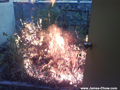 Fire at our house! Fire at our house!