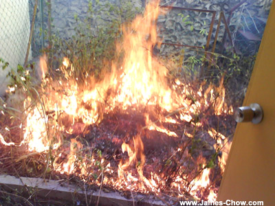 Pollution the environment! Pollution the environment!