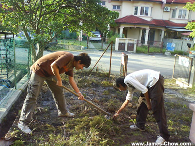 Clearing the garden! Clearing the garden!