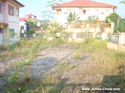 Take a look at the garden...