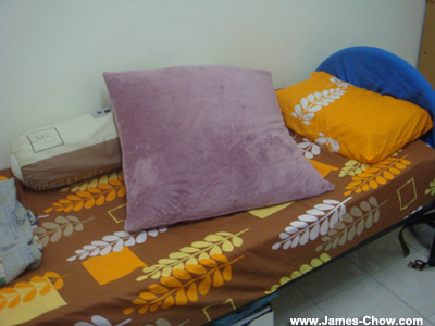 I am sleeping everywhere! I am sleeping everywhere!