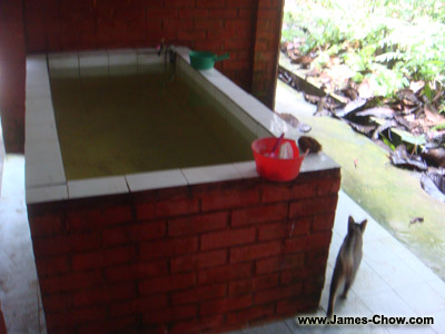 Cat around the place you bathe... Cat around the place you bathe...
