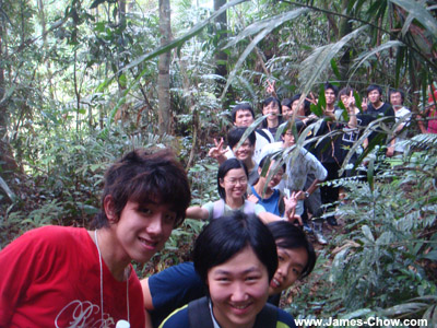 Jungle tracking Jungle tracking