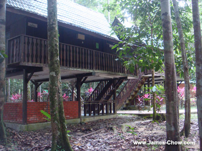 Longhouses in Endau Rompin Longhouses in Endau Rompin