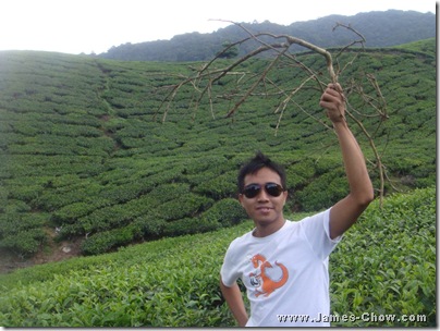 DSC04500 DSC04500