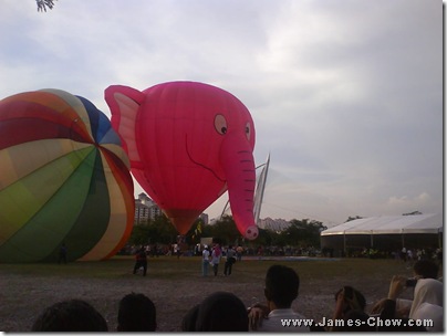 Cute Pink Elephant Balloon!