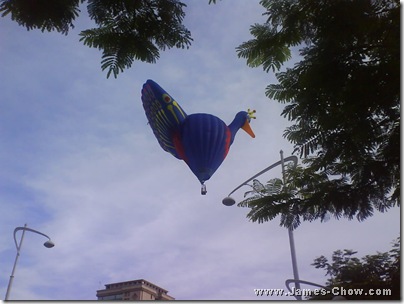 Peacock in the sky...