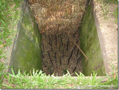 IMG_5297 IMG_5297