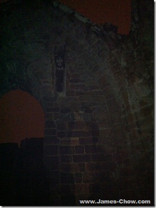 IMG_1065 IMG_1065