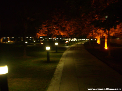 Campus At Night Campus At Night